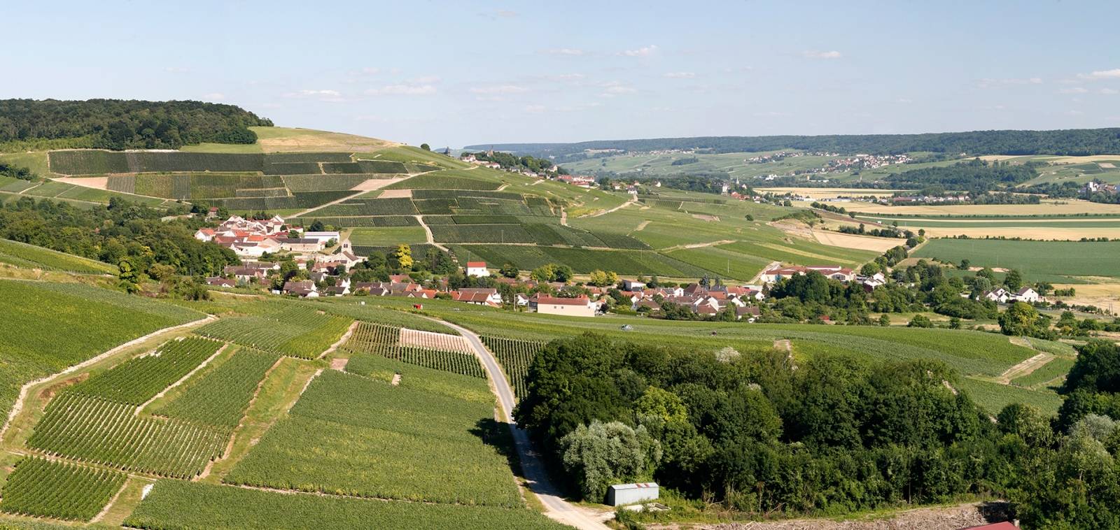 Champagne Delouvin-Moreau